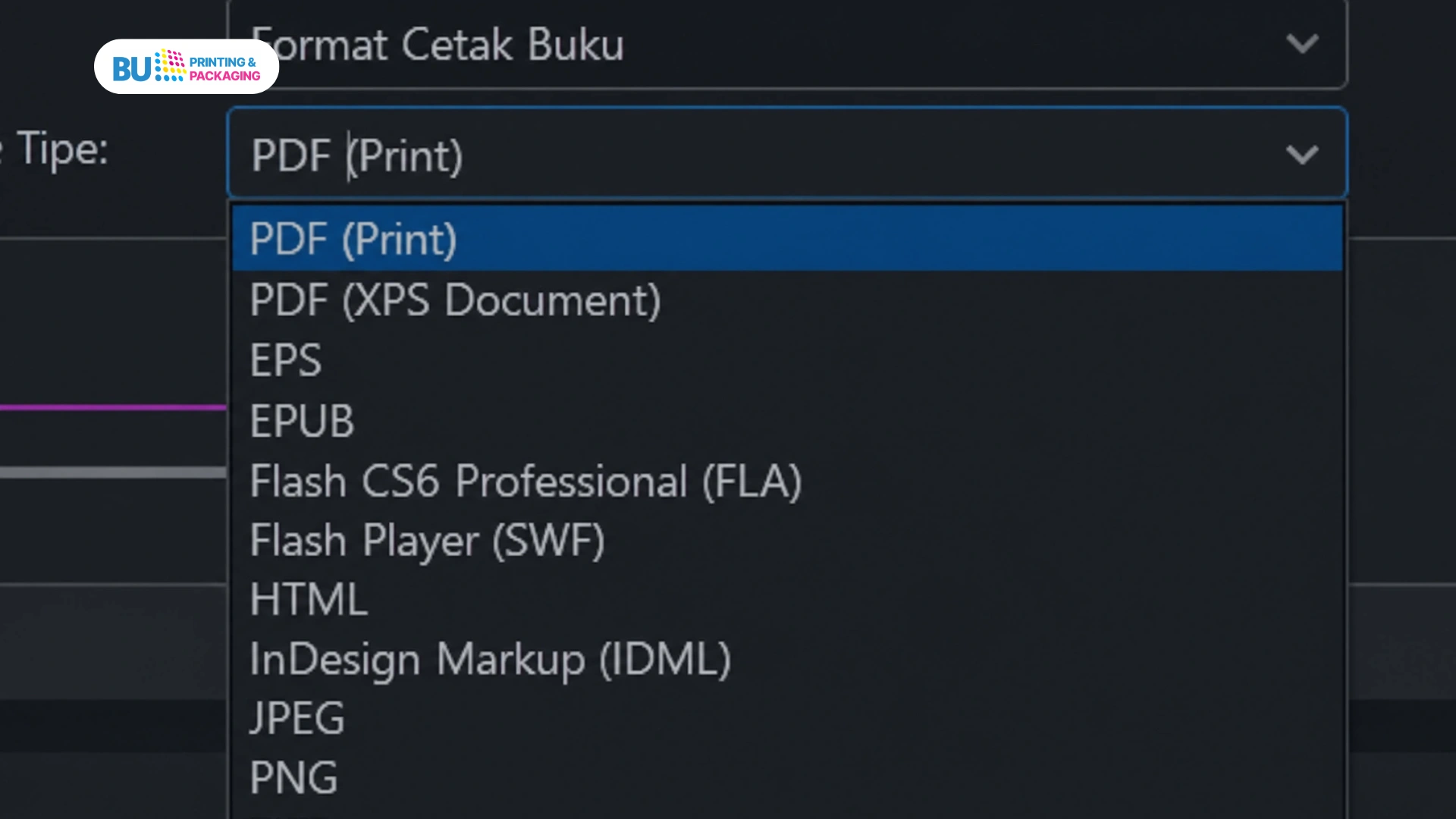 Format File dalam Cetak Buku